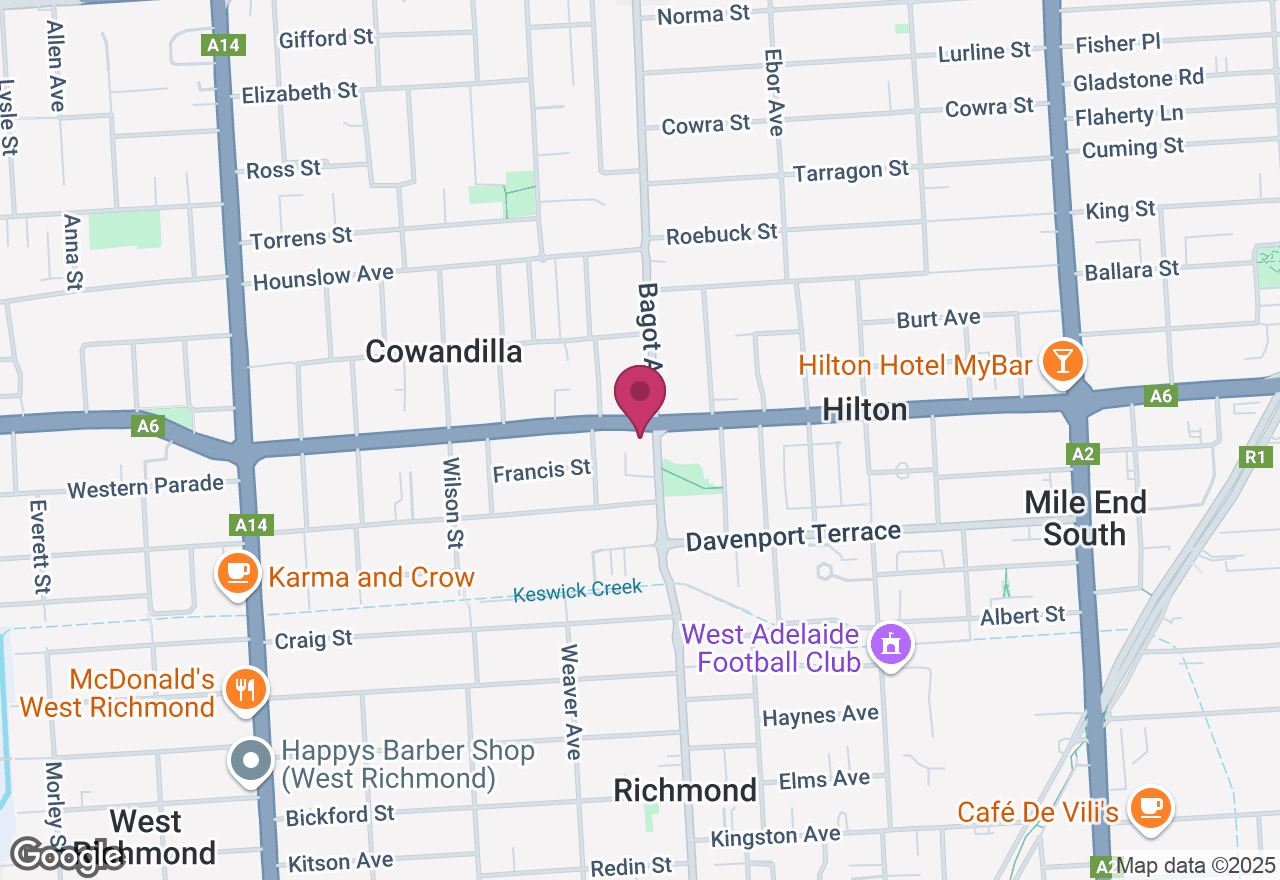 Outback Art Experience: Paint Your Ice Cream-Loving Echidna location